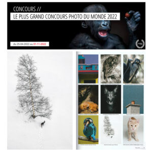 Lauréate dans la catégorie Animaux. Concours réalisé par le magazine PHOTO, 2023.